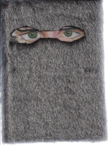 Image for The Wild Things