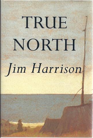 Image for True North