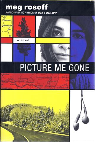 Image for Picture Me Gone