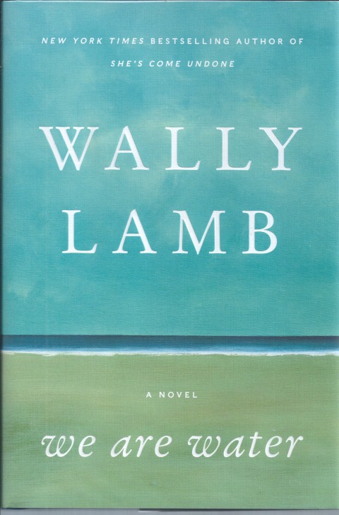 Image for We are Water