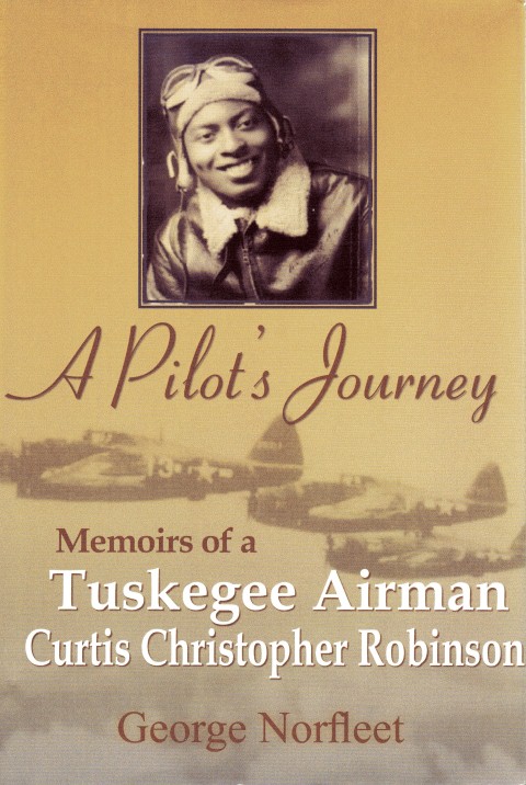 Image for A Pilot's Journey