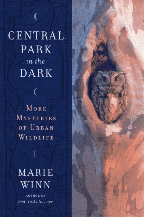 Image for Central Park in the Dark: More Mysteries of Urban Wildlife