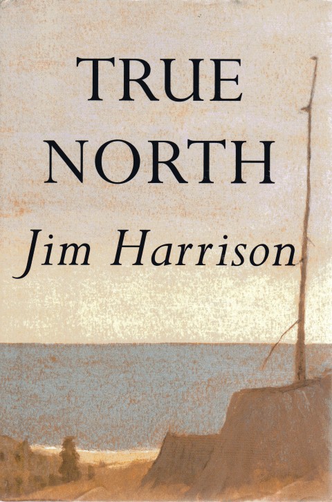 Image for True North