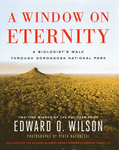 Image for A Window on Eternity
