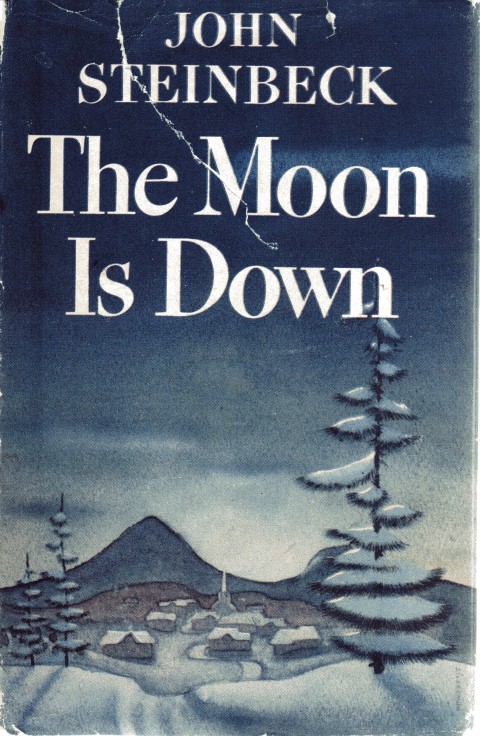 Image for The Moon is Down