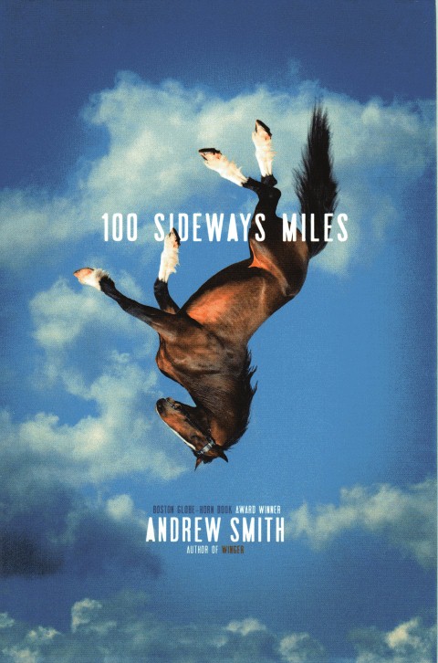 Image for 100 Sideways Miles