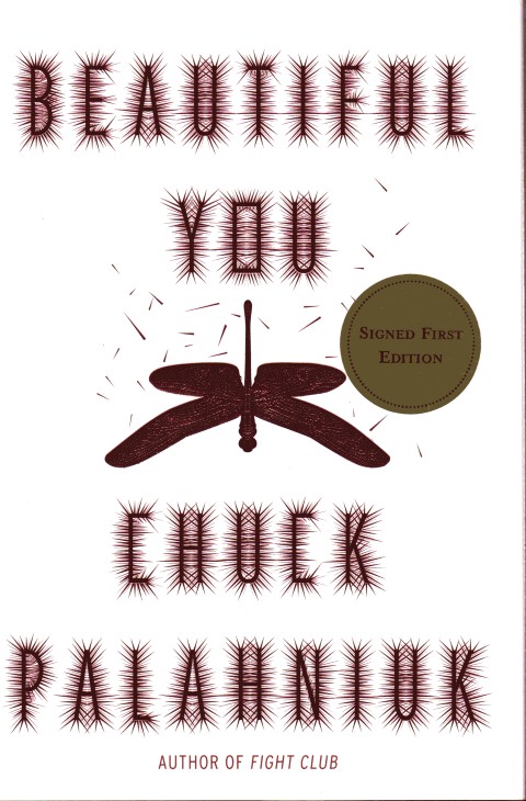 Image for Beautiful You: A Novel
