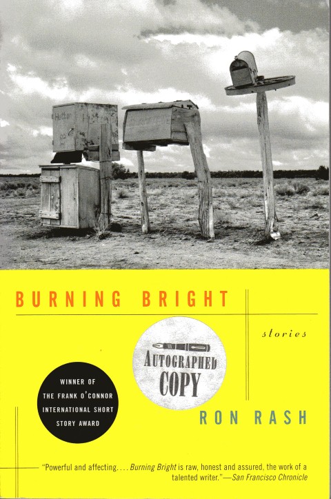 Image for Burning Bright: Stories