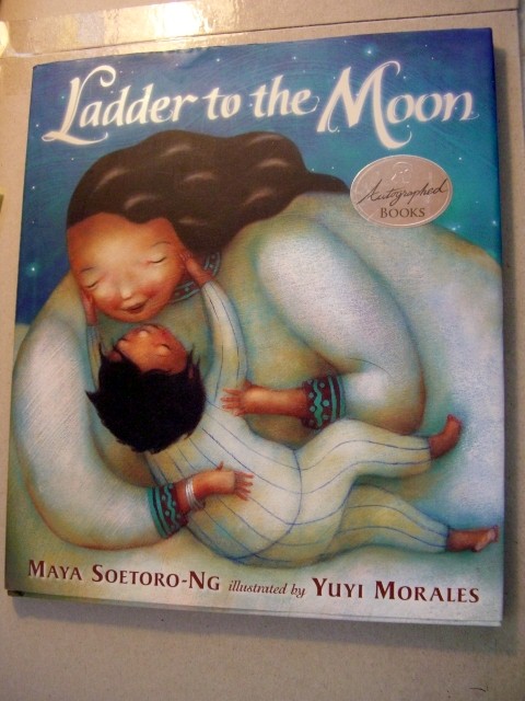 Image for Ladder to the Moon