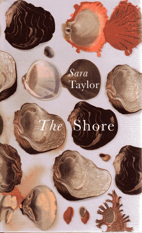 Image for The Shore