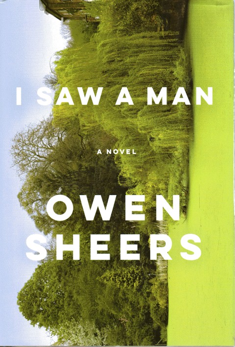Image for I Saw a Man