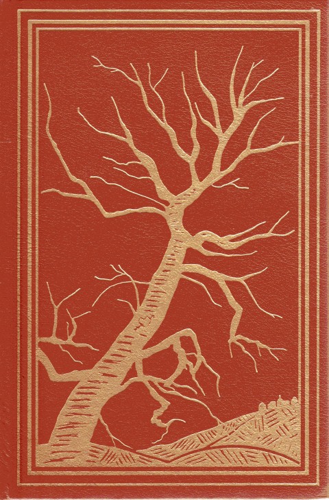 Image for The Copper Beech