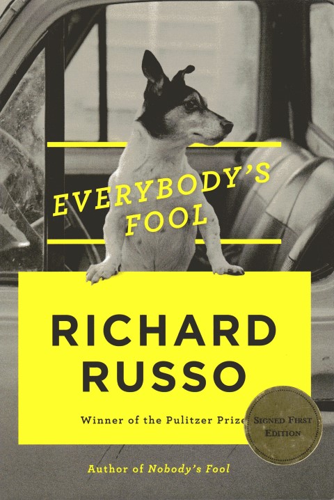 Image for Everybody's Fool