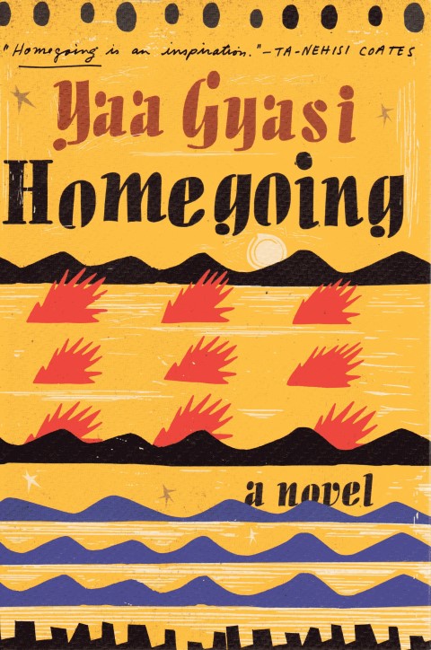 Image for Homegoing