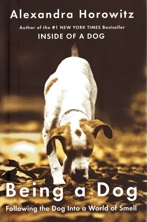 Image for Being a Dog