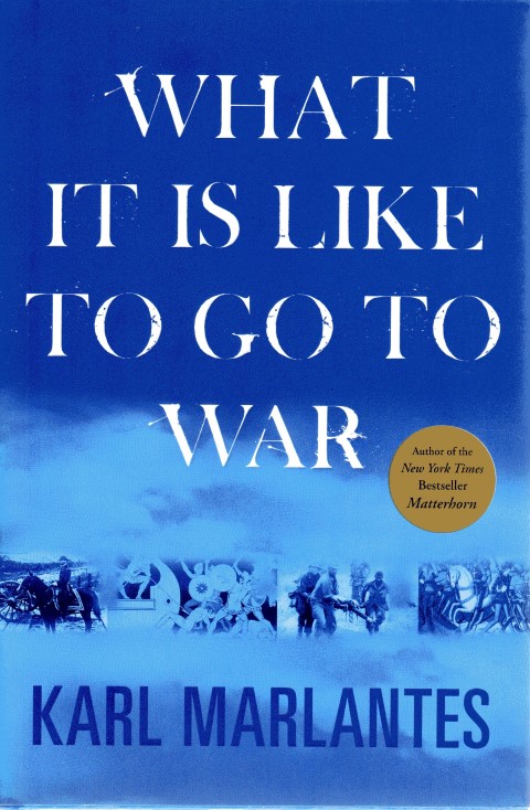 Image for What It Is Like to Go to War