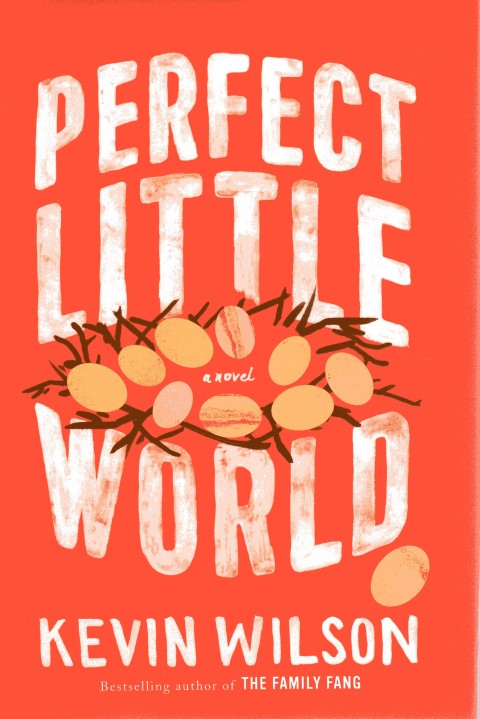 Image for Perfect Little World