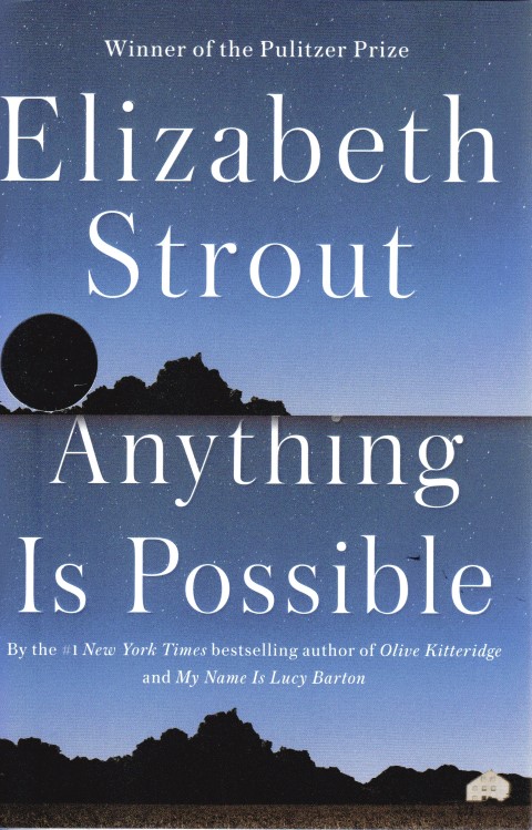 Image for Anything is Possible
