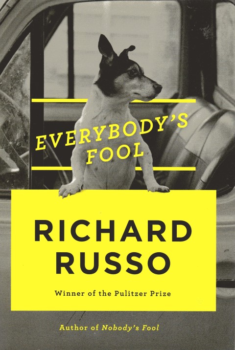 Image for Everybody's Fool