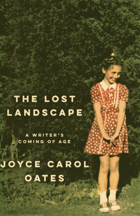 Image for The Lost Landscape