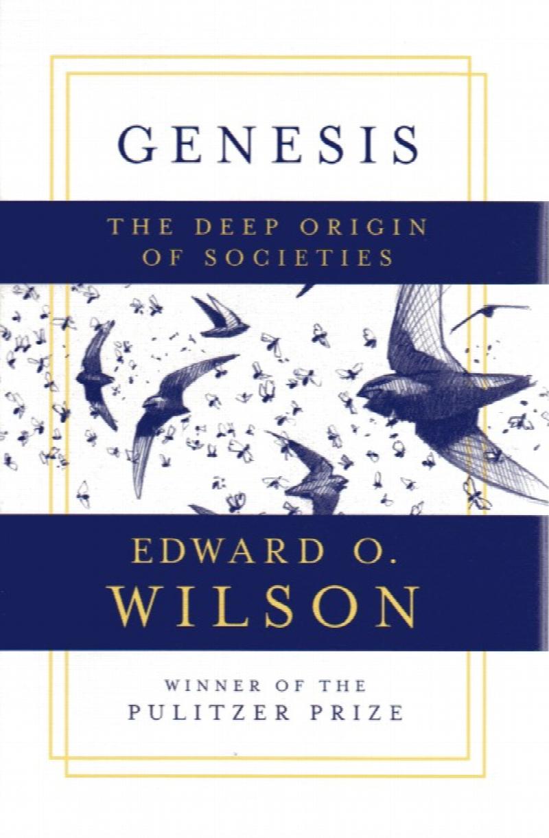 Image for Genesis