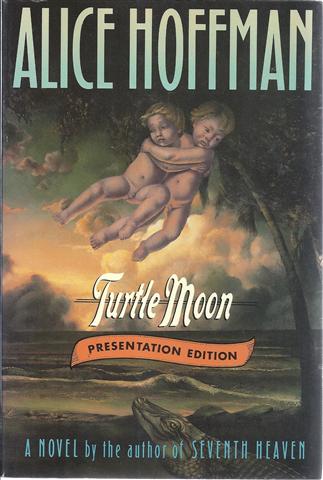 Image for Turtle Moon