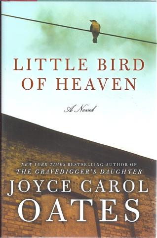 Image for Little Bird of Heaven: A Novel