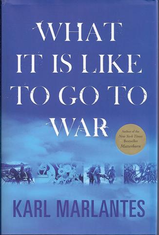 Image for What It Is Like to Go to War