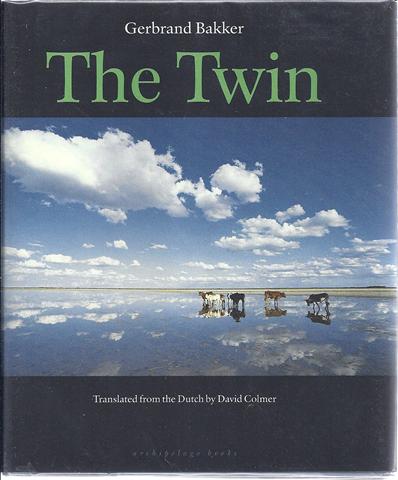 The Twin Image for The Twin